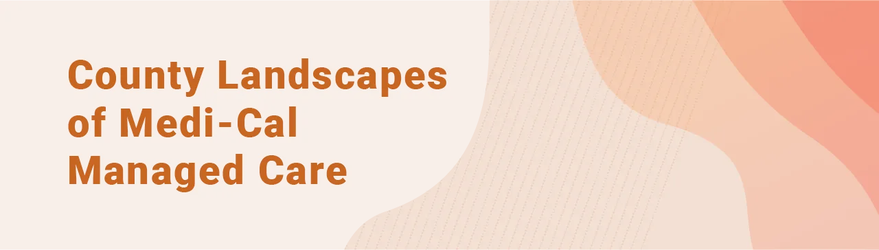 landscapes-banner