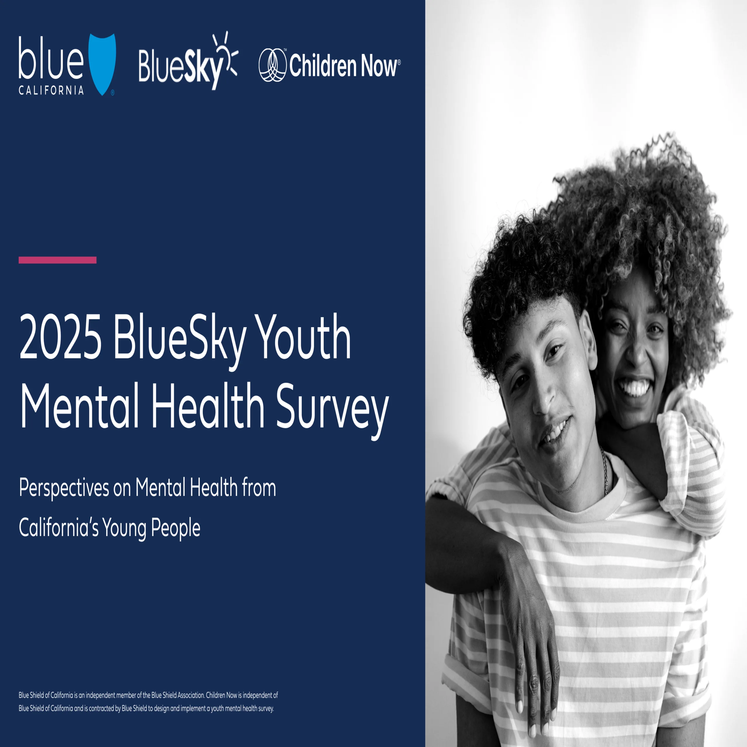 BlueSky Youth Mental Health Cover